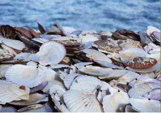 リサイクル・エコロジー製品