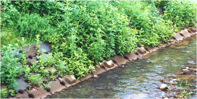 草木発源(そうきはつげん)