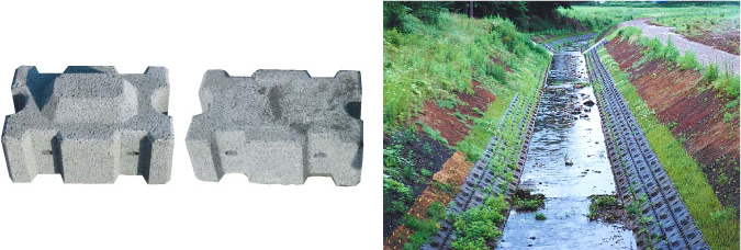 草木発源(そうきはつげん)