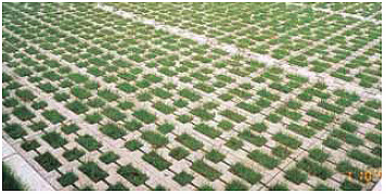 ホタテ貝殻混入舗装材料:緑化型保水ブロック