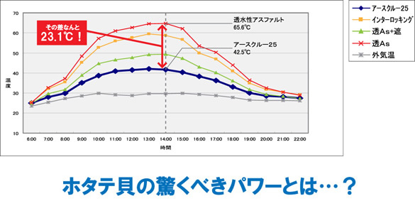 ホタテ貝の驚くべきパワーとは・・・?